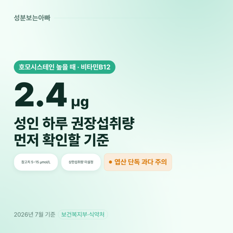 호모시스테인 높을 때 비타민B12 복용법, 용량과 주의사항 정리(2026 최신)
