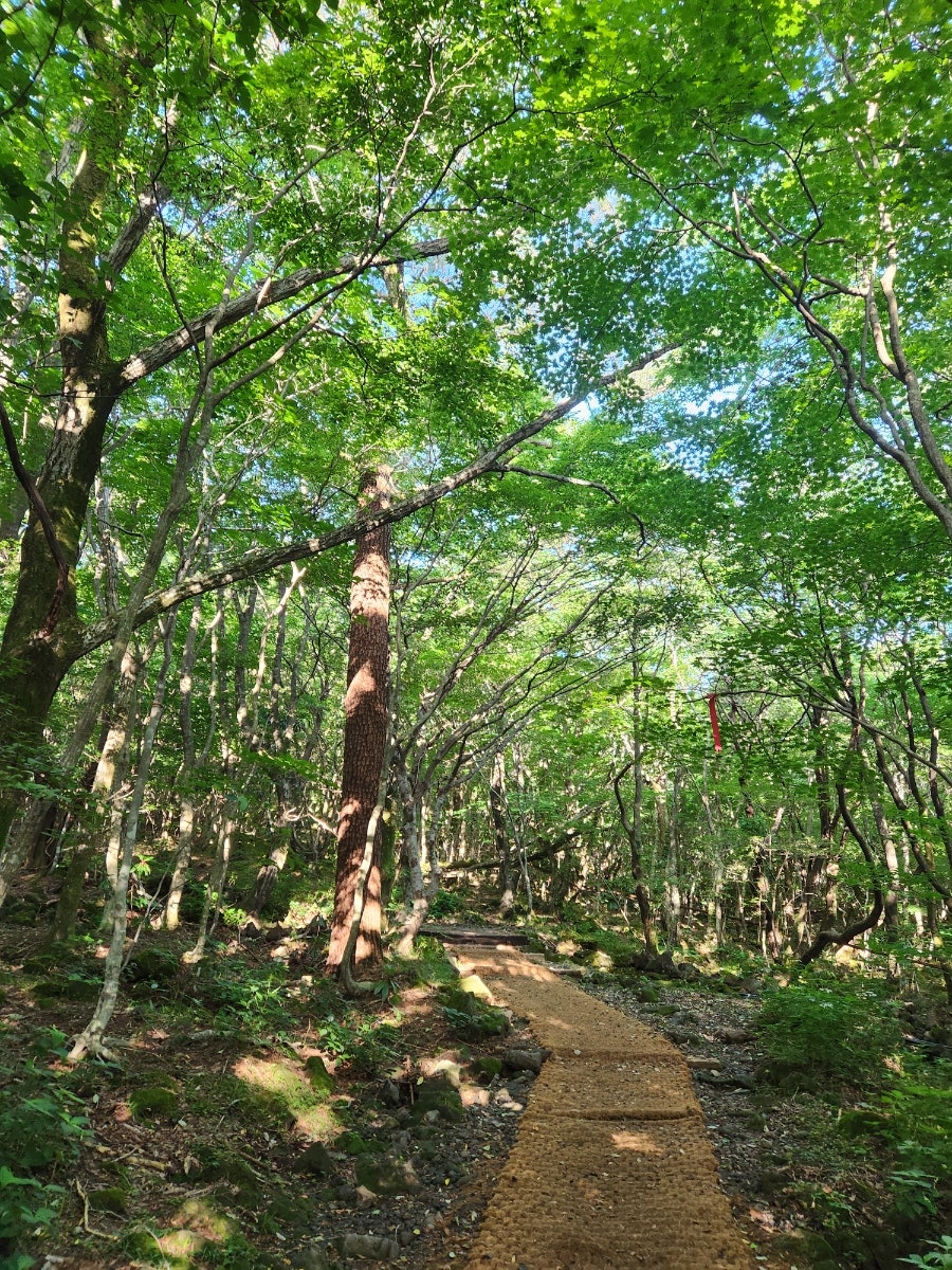 한라산사라오름산정호수 사진 1