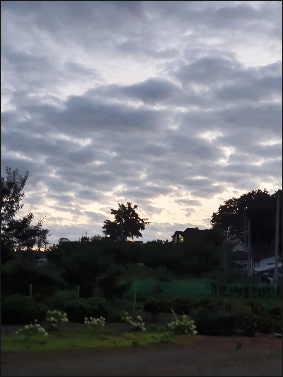 몽산포수국힐링펜션 사진 3