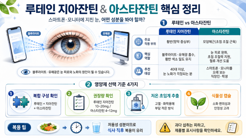 스마트폰·모니터에 지친 눈! 루테인 지아잔틴 & 아스타잔틴 효능부터 제대로 된 영양제 선택....