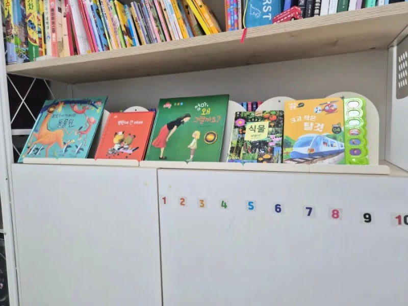 다이소 일반 거실장 전면 책장으로 변신시키기