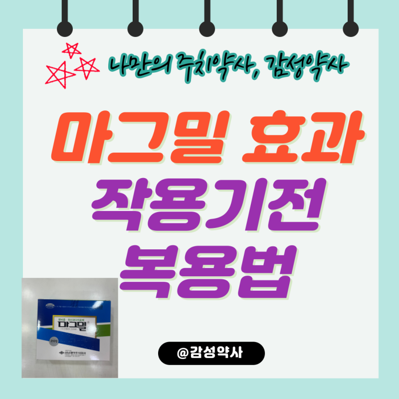 마그밀 효과·작용기전·복용법 — 순한 변비약, 다른 변비약과 차이 (감성약사)
