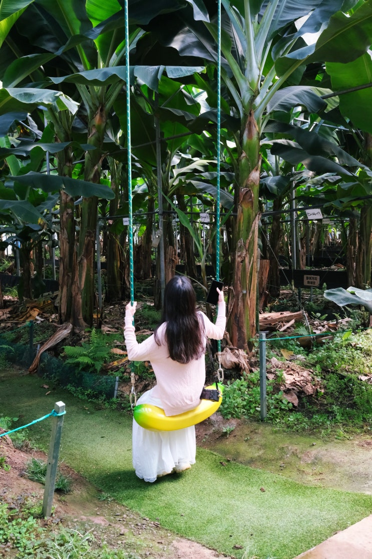 제주도 서쪽 가볼만한곳 스위트몽키 제주 어린이 체험