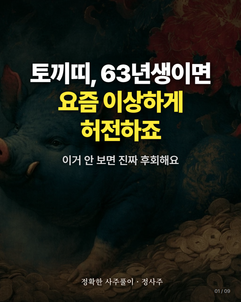 63년토끼띠운세 정확히 보는 법, 오늘의운세 총정리