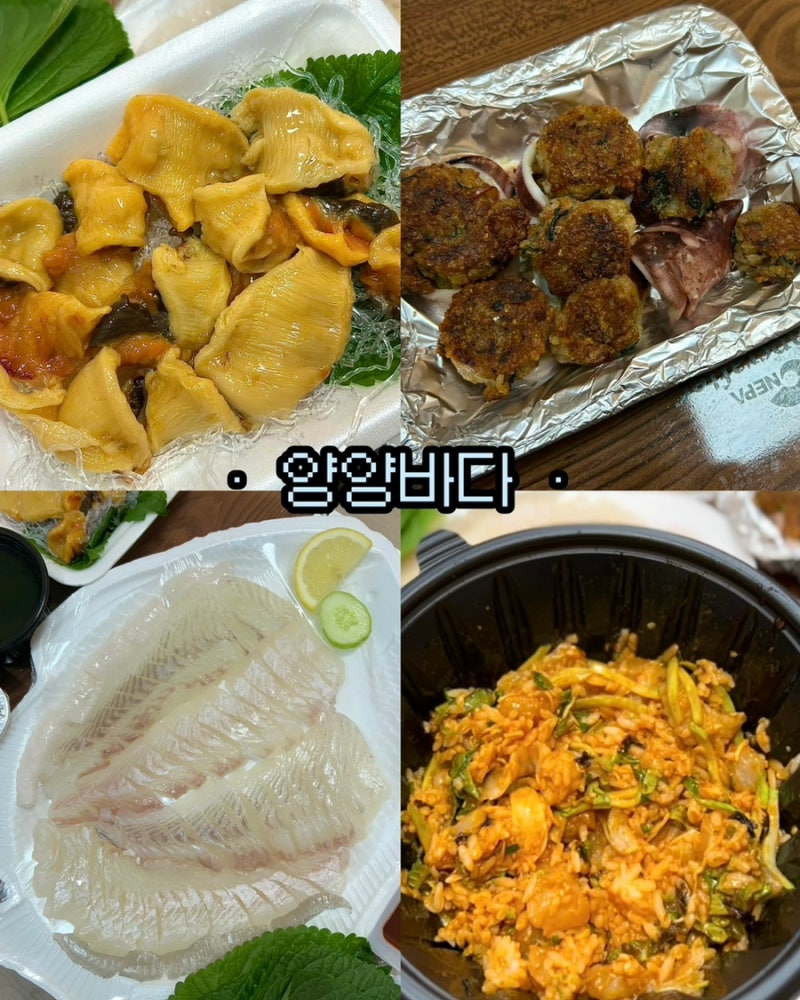 양양회포장 맛집 [양양바다]에서 포장하고 온 후기!! (ft.회먹다가 배불러서 남긴 적은 처음이....