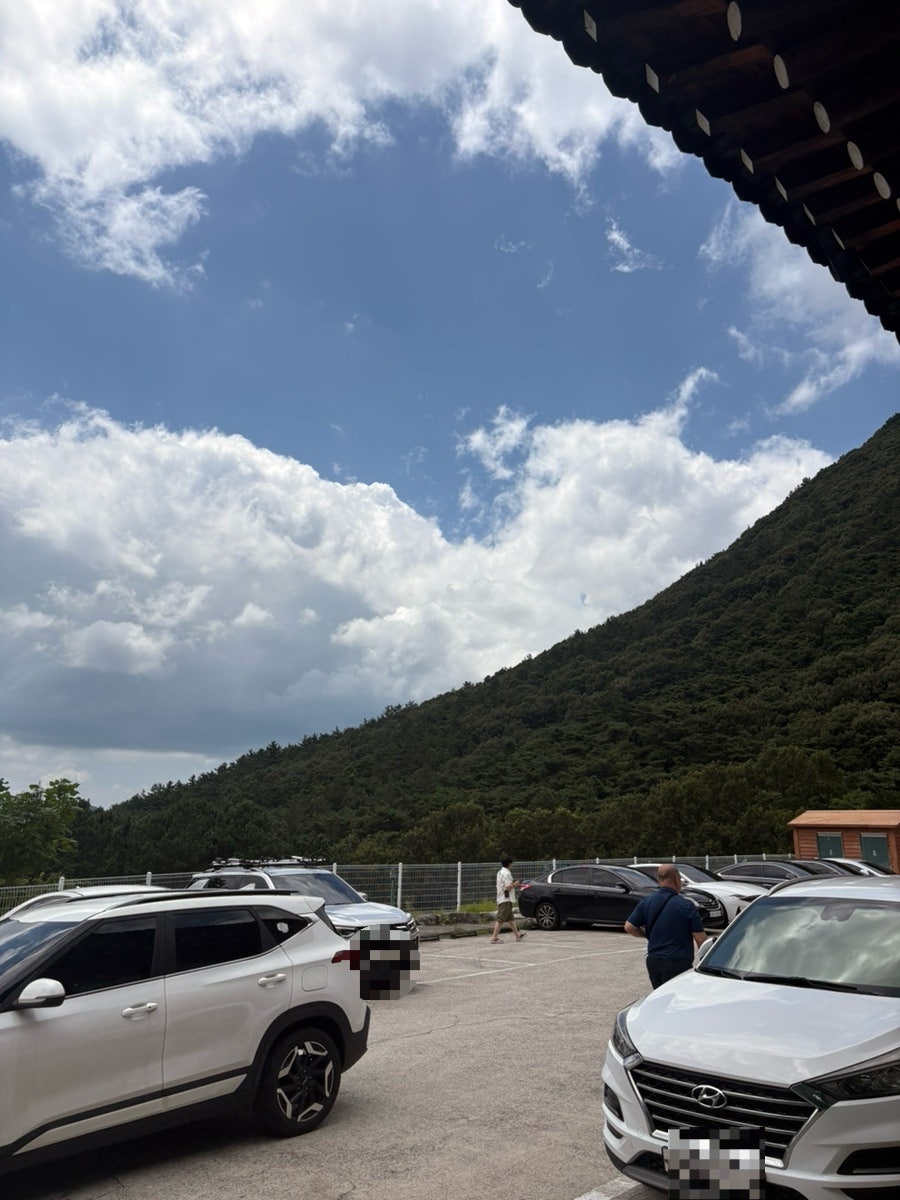 벽오동 화순점 사진 1