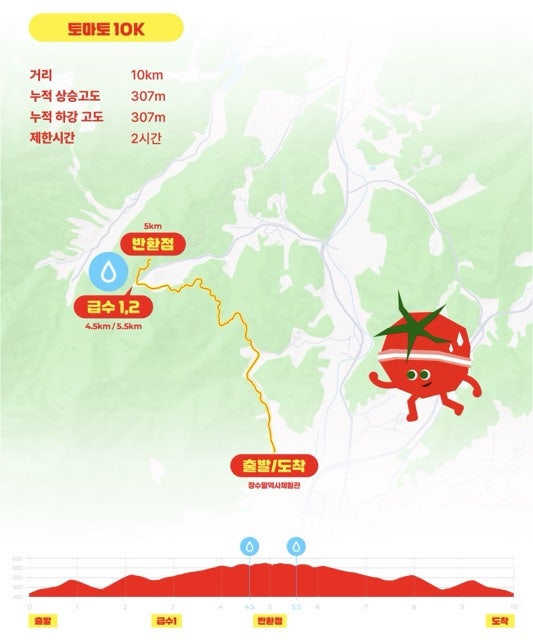 토마토 사진 3