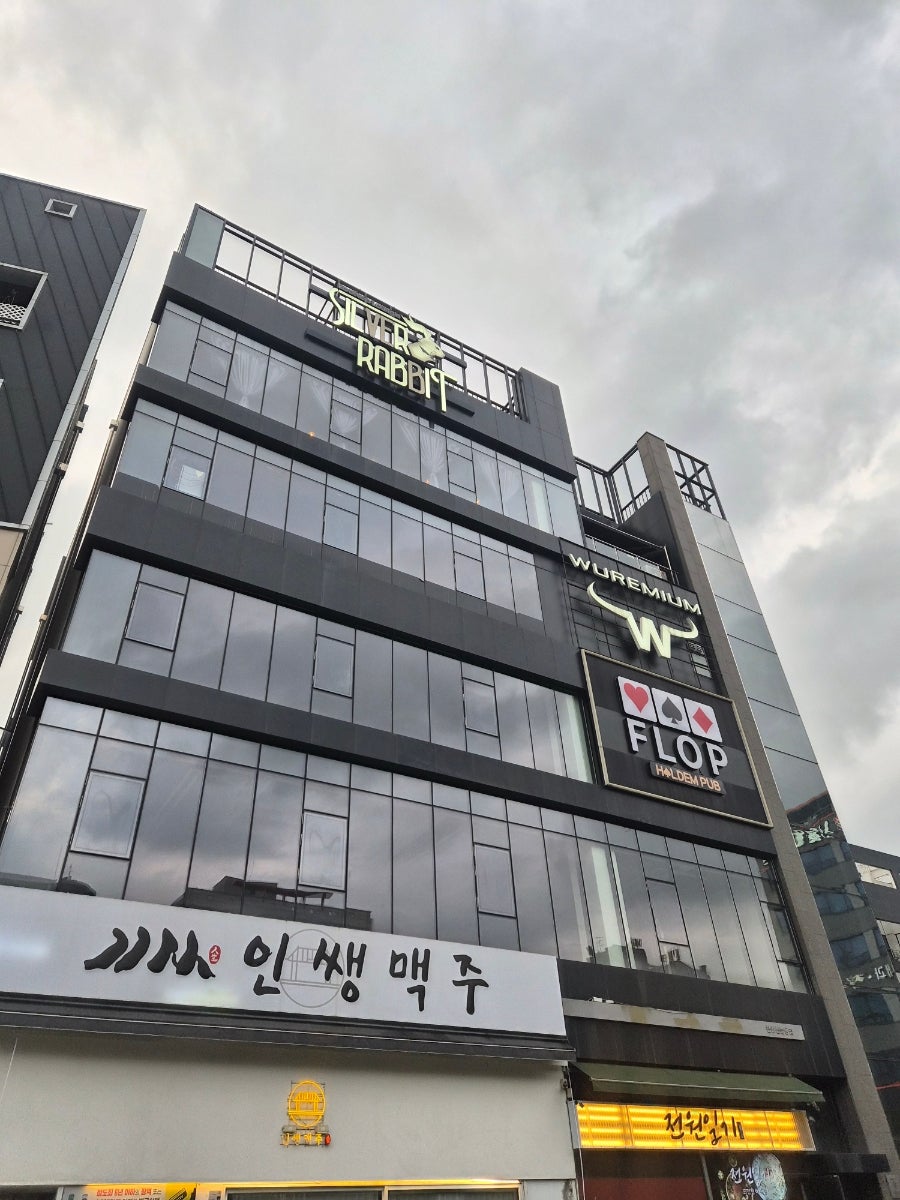 실버래빗 사진 4