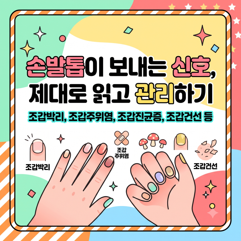 [조갑질환] 손발톱이 보내는 신호, 제대로 읽고 관리하기 (조갑박리, 조갑주위염, 조갑진균증....