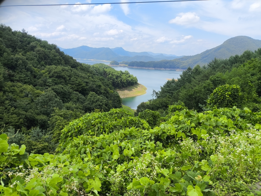 대미산 사진 6