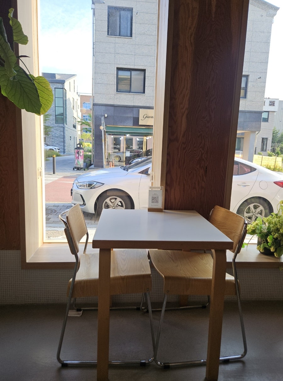 피치 사진 6