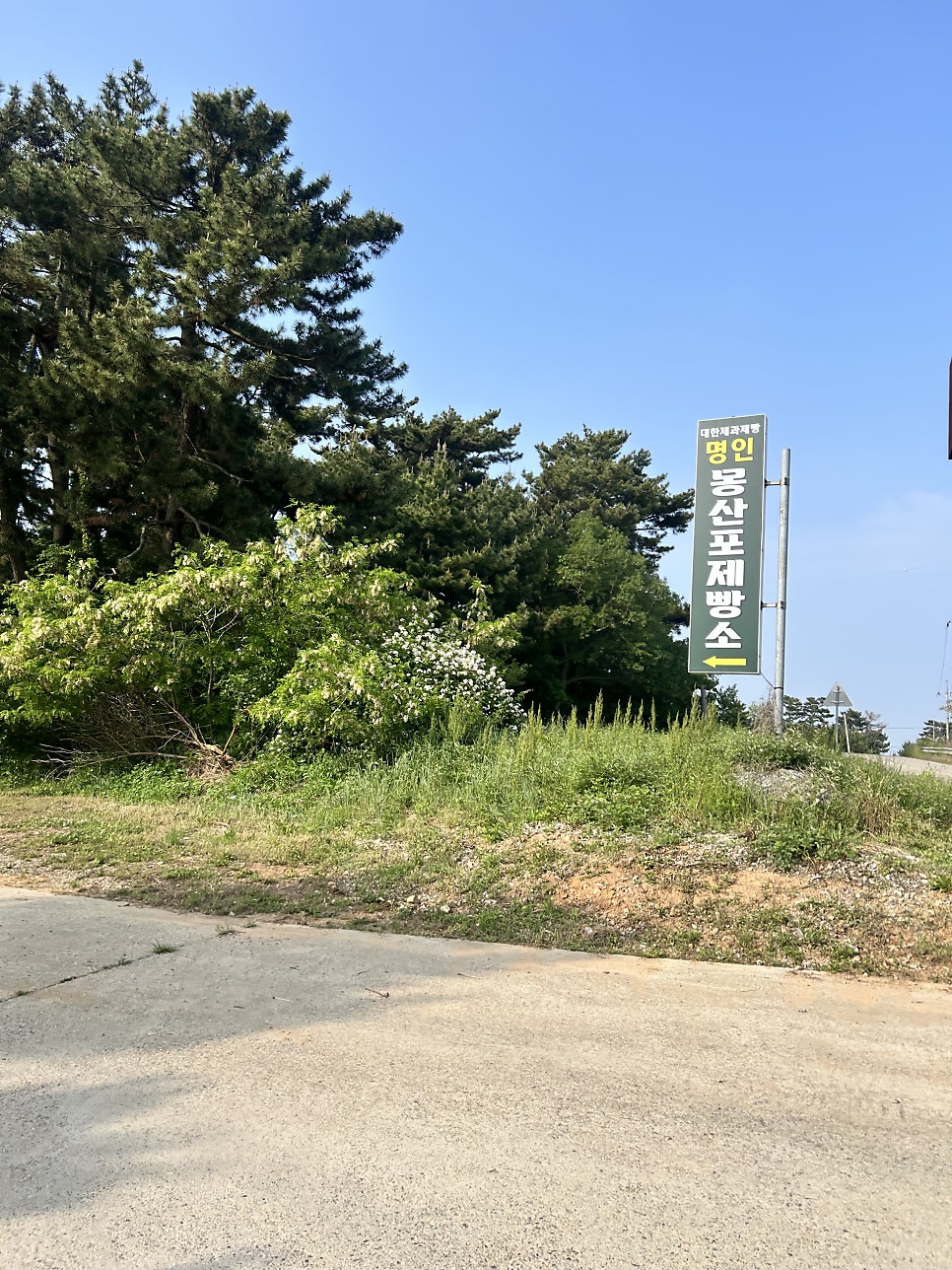 몽산포제빵소 사진 2