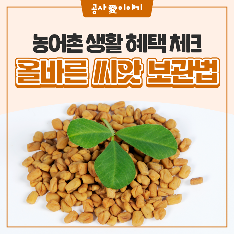 남은 씨앗, 내년에 다시 심어도 될까요?