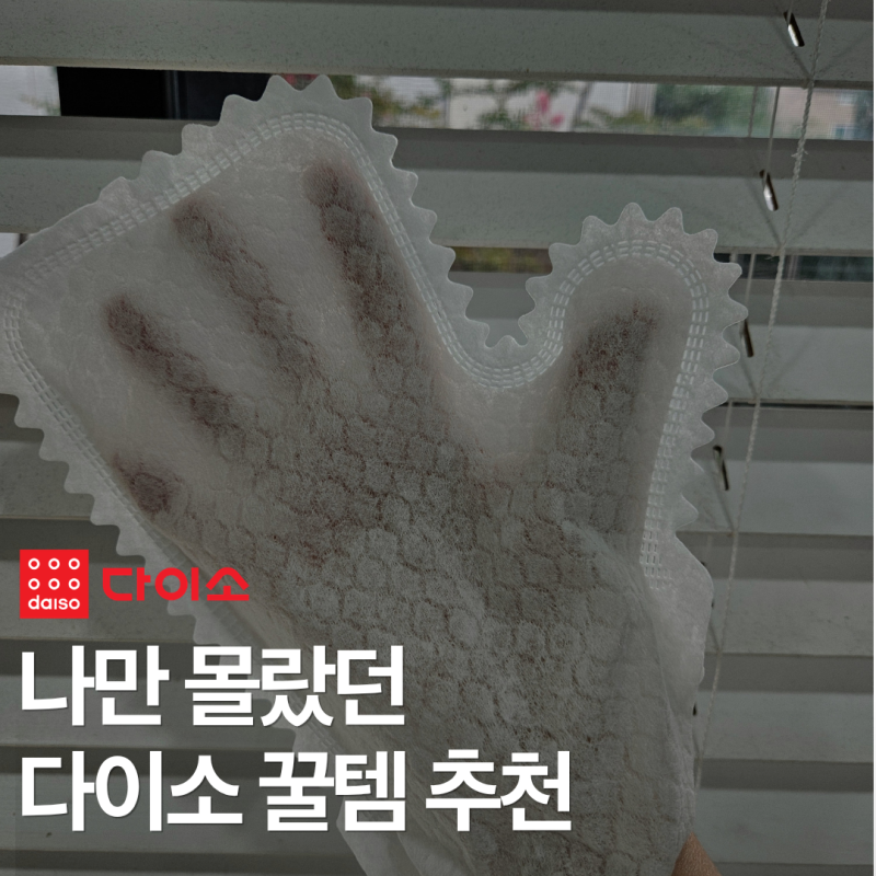 나만 몰랐던 다이소 꿀템 추천, 부직포 청소장갑 써보니