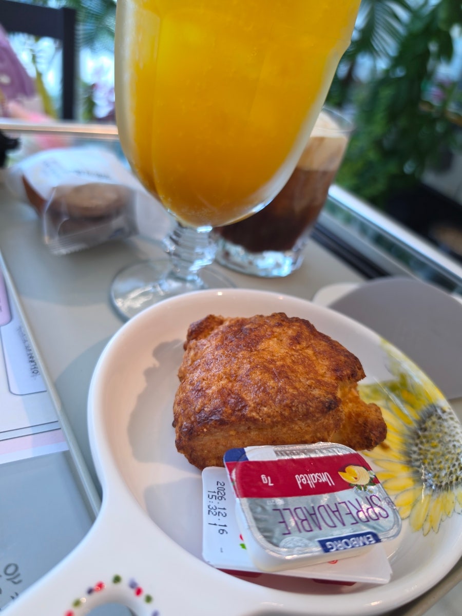 카페리브 사진 5