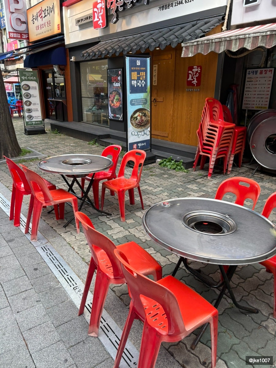 유대봉꼼장어 사진 3