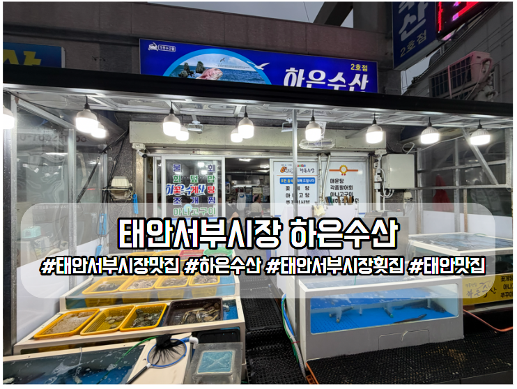태안 서부시장 늦은 저녁 방문 하은수산 오징어회 & 호두분식 튀김 포장 솔직후기