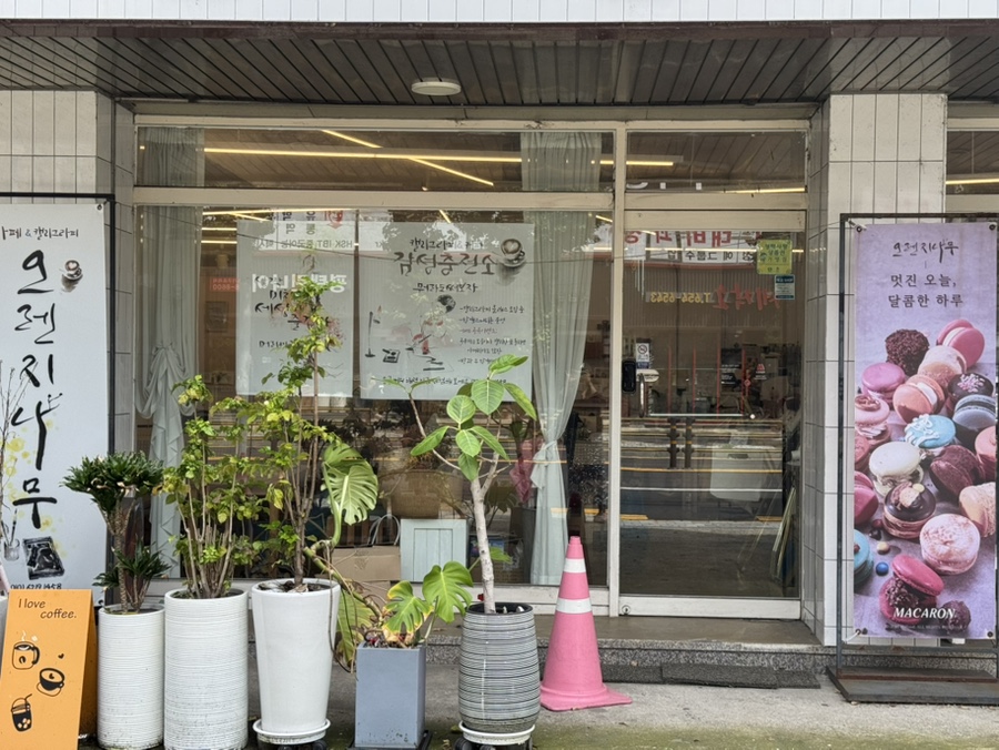 오렌지나무 사진 4