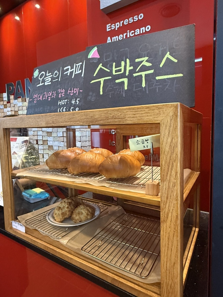 파니니 사진 5