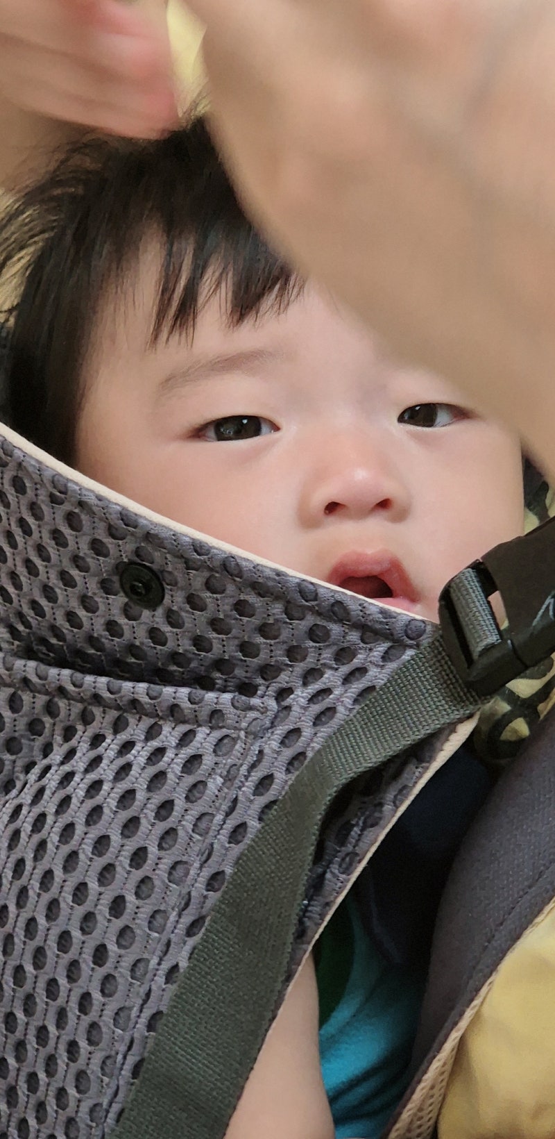 아기띠비교 베베스완 포그네 구스켓