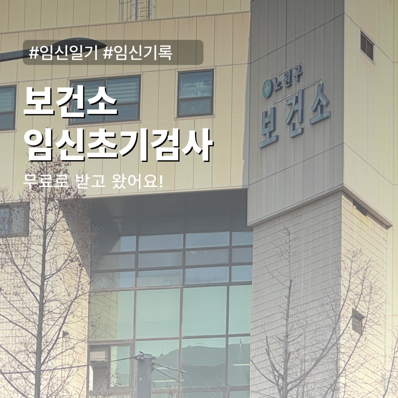 임신 7주 보건소 임신초기검사 항목·기간·결과 확인까지(feat. 노원보건소)