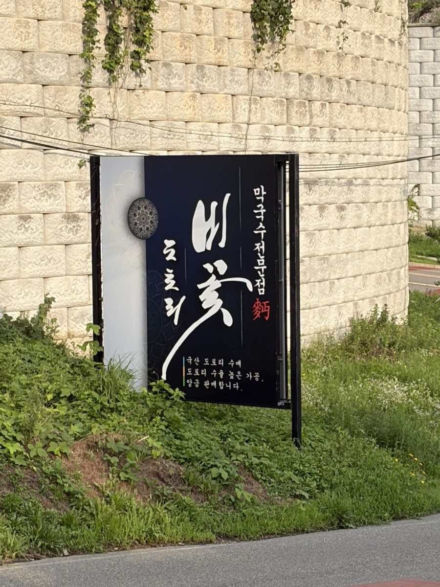 비꽃 도토리 사진 1