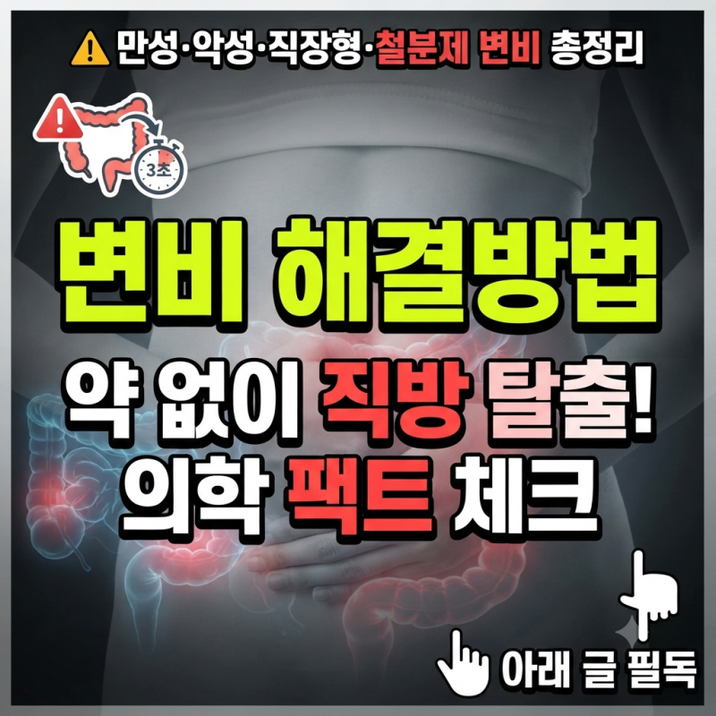 변비 해결방법 더 이상 고통받지 않는 직방 습관과 만성 변비 탈출법