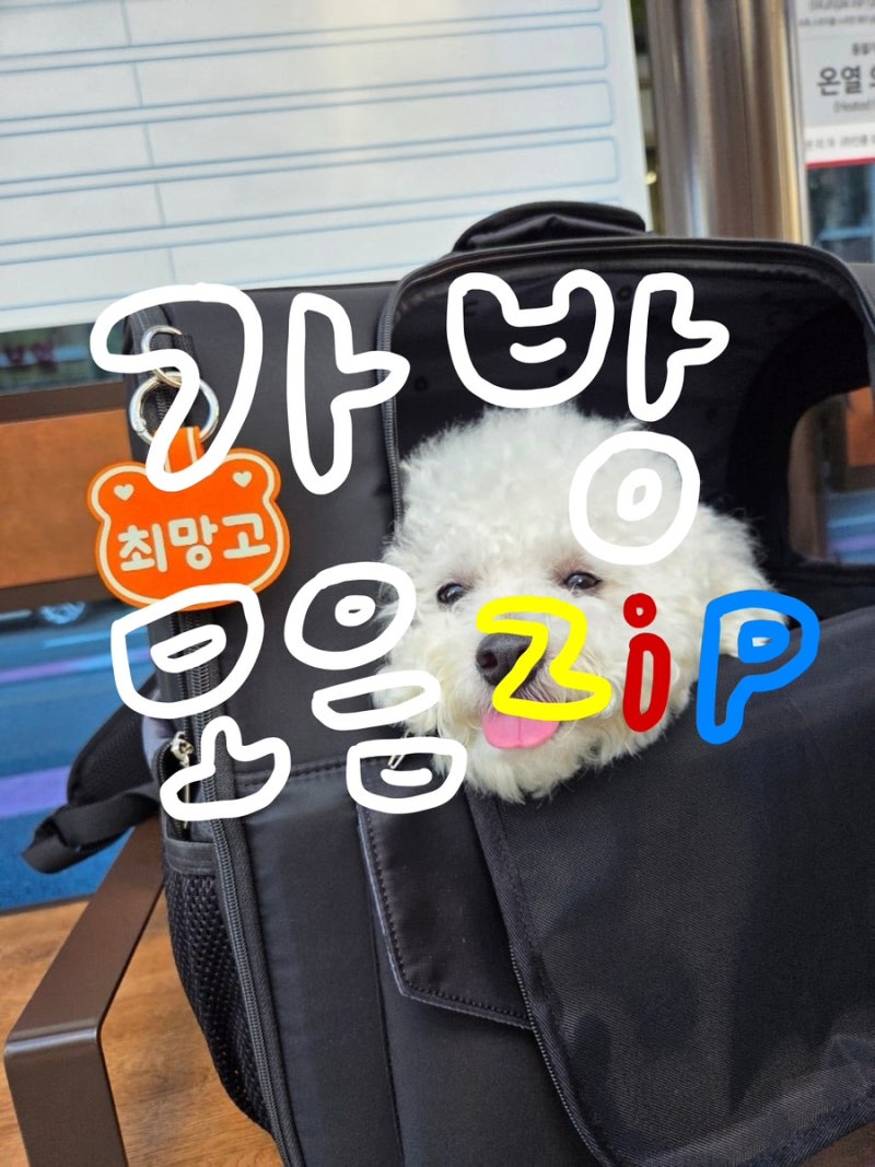 강아지 이동가방 모음 ZIP. 내돈내산 솔직후기 (난펫·밀리옹·모드니펫·리토가토·쏘오옥) 버....