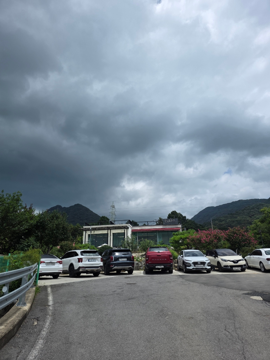 황금독수리