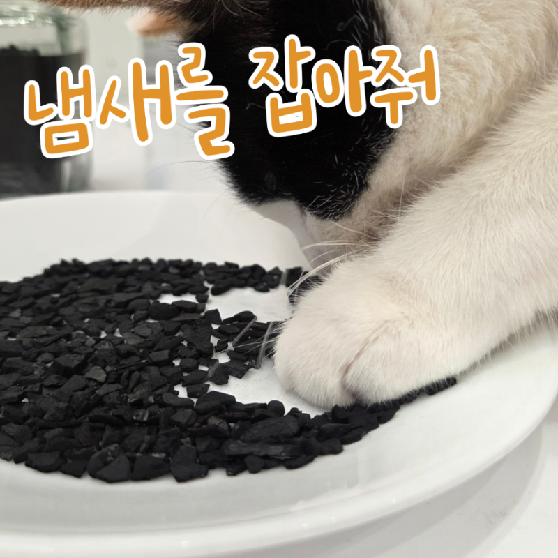 고양이 집사의 쓰레기통 관리법 | 저렴한 활성탄으로 냄새 잡아봤어요