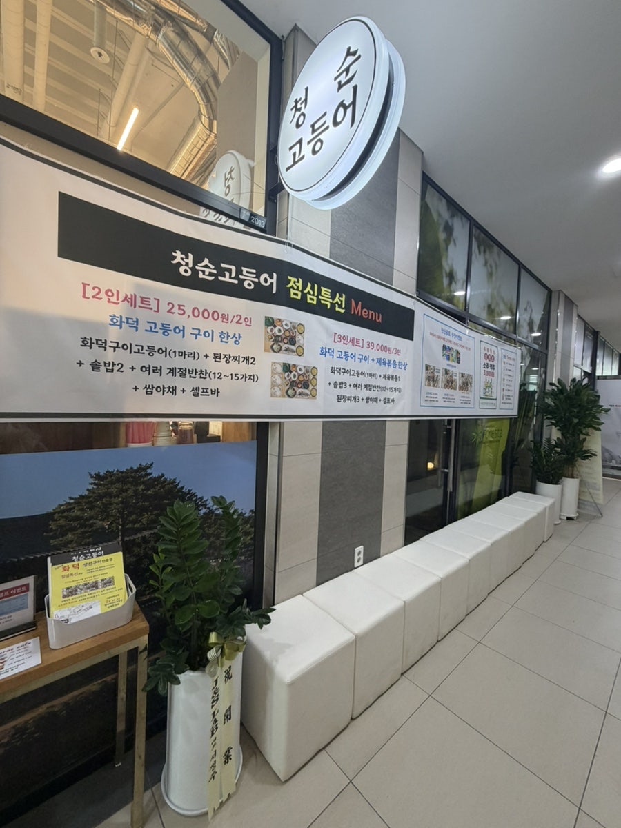 청순고등어 사진 2