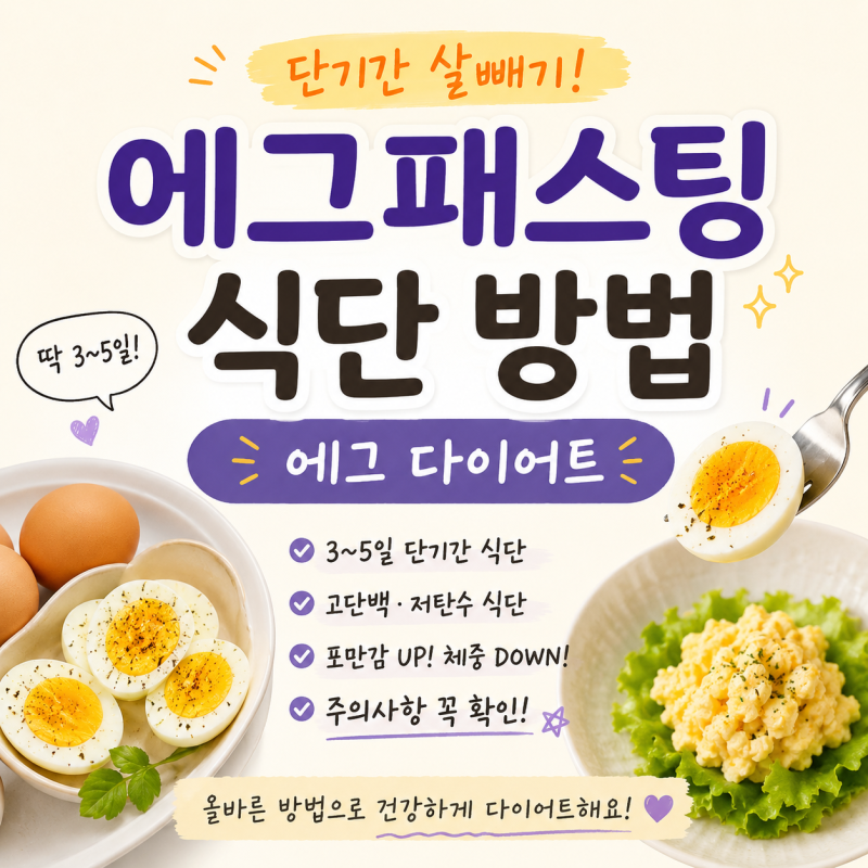 단기간 살빼기 에그패스팅 식단 방법 에그다이어트