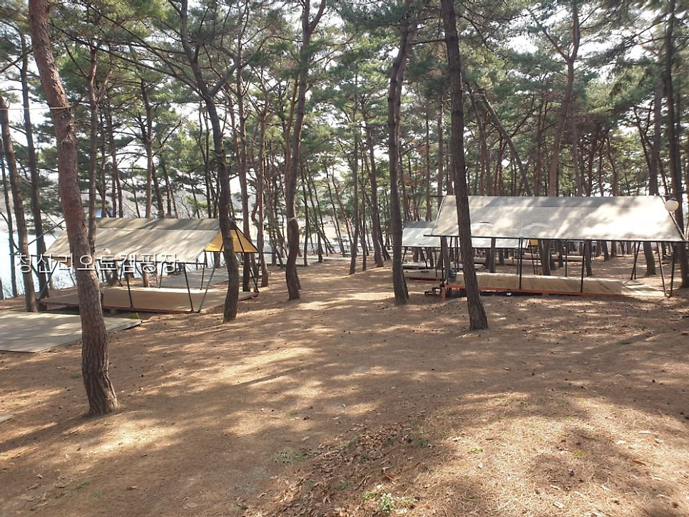 청산리오토캠핑장 사진 2