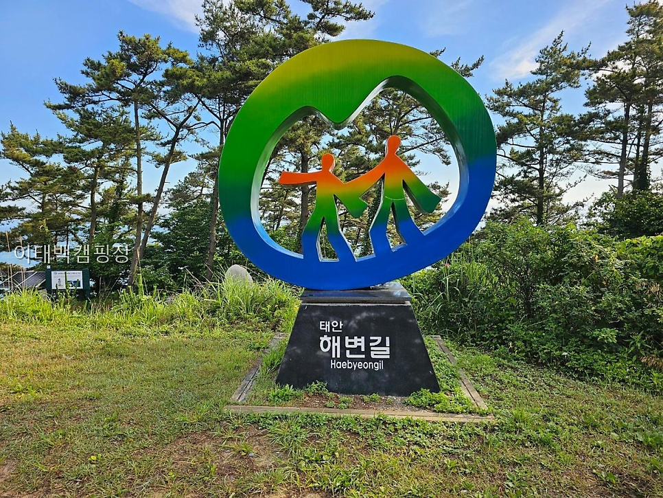 이태백캠핑장 사진 5