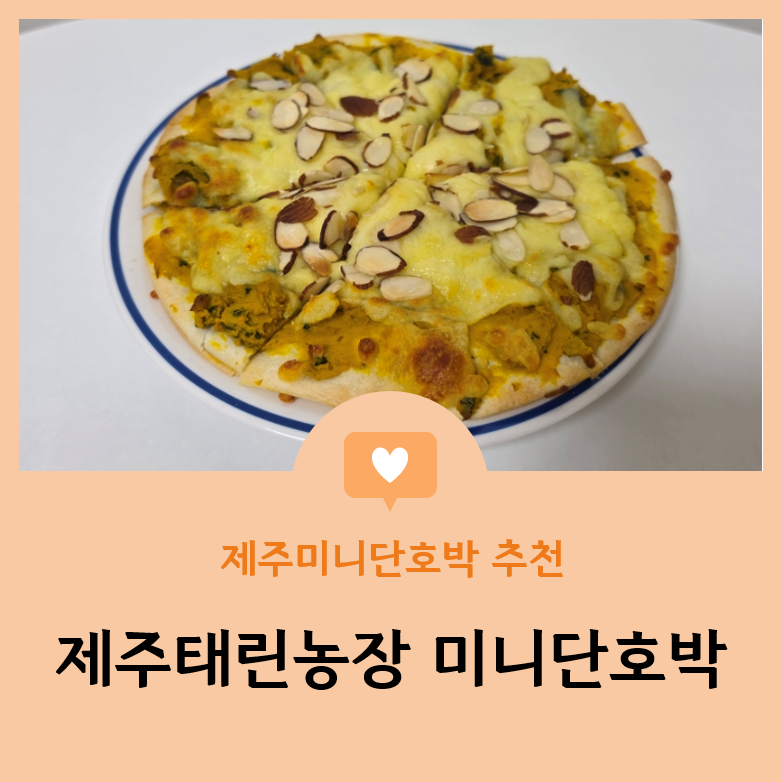 『리뷰』 제주미니단호박 추천 "제주태린농장 고당도 미니 단호박"