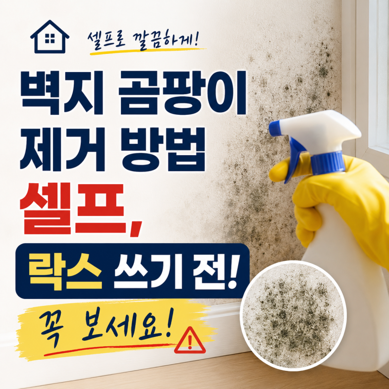 벽지 곰팡이 제거 방법 셀프, 락스 쓰기 전에 꼭 보세요!