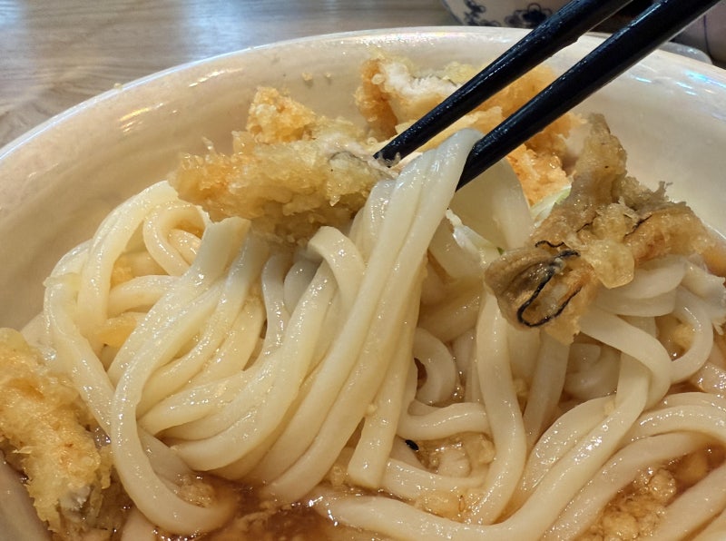 합정역 맛집 우동키노야, 30cm 장어튀김 올린 붓카케우동
