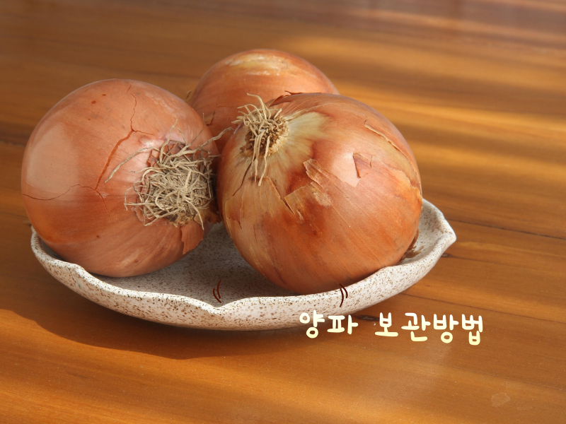 양파 보관방법 여름철 맞춤 관리와 보관 꿀정보