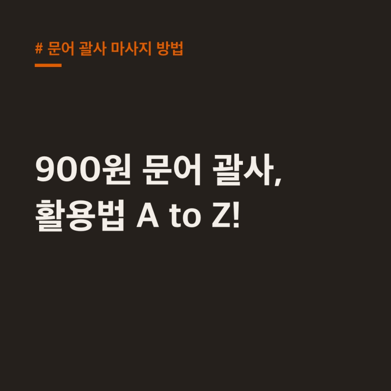 문어 괄사 마사지 방법, 900원으로 두피부터 바디까지!