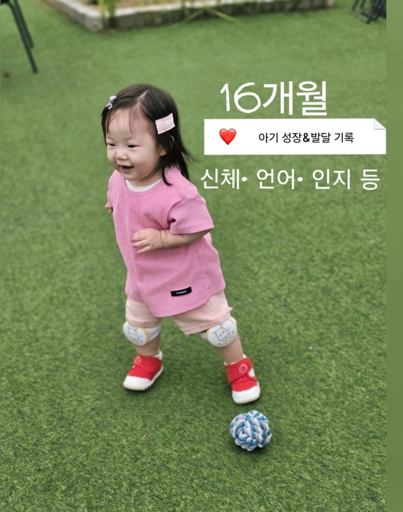 16개월 아기 발달 신체·언어·인지 변화 기록