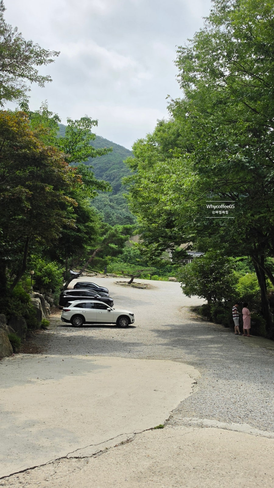 기양초 사진 3