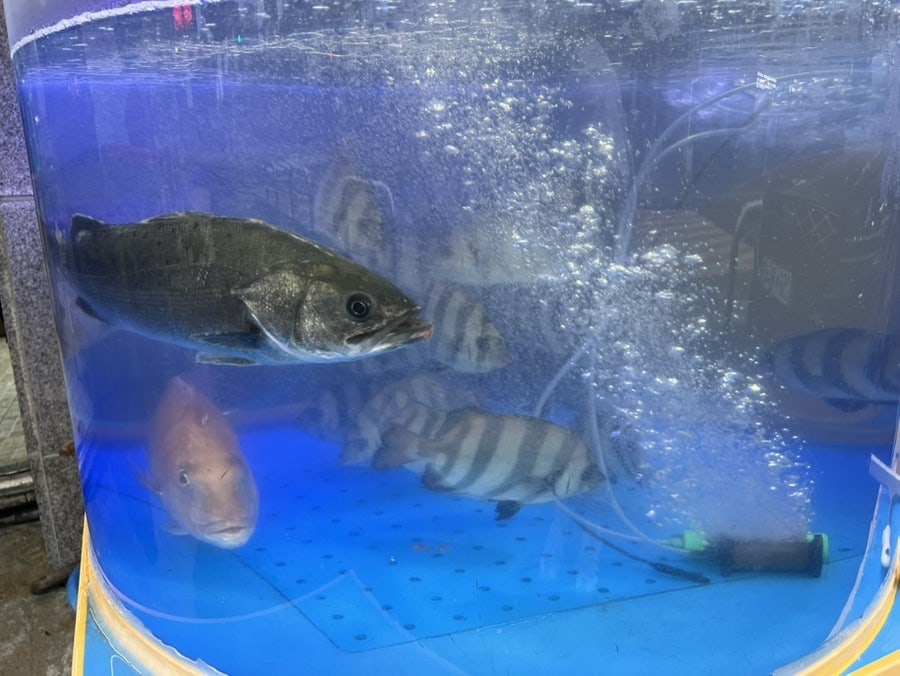 밀머리횟집 사진 3