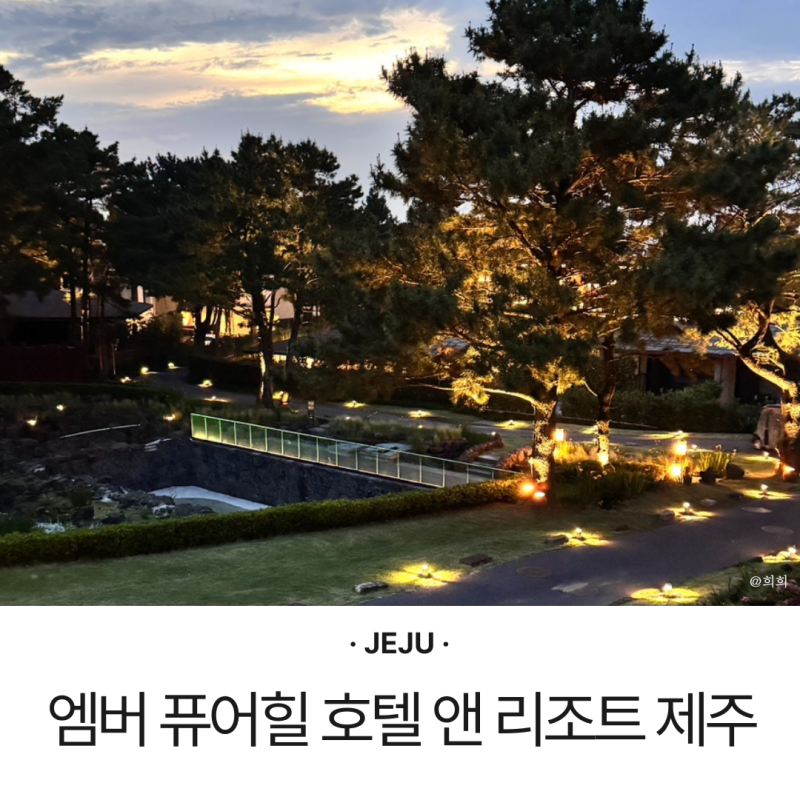 6개월 아기랑 제주도 여행, 엠버 퓨어힐 호텔 앤 리조트 2박 후기