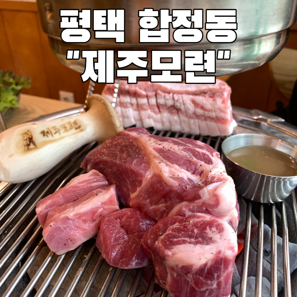 제주모련 사진 1
