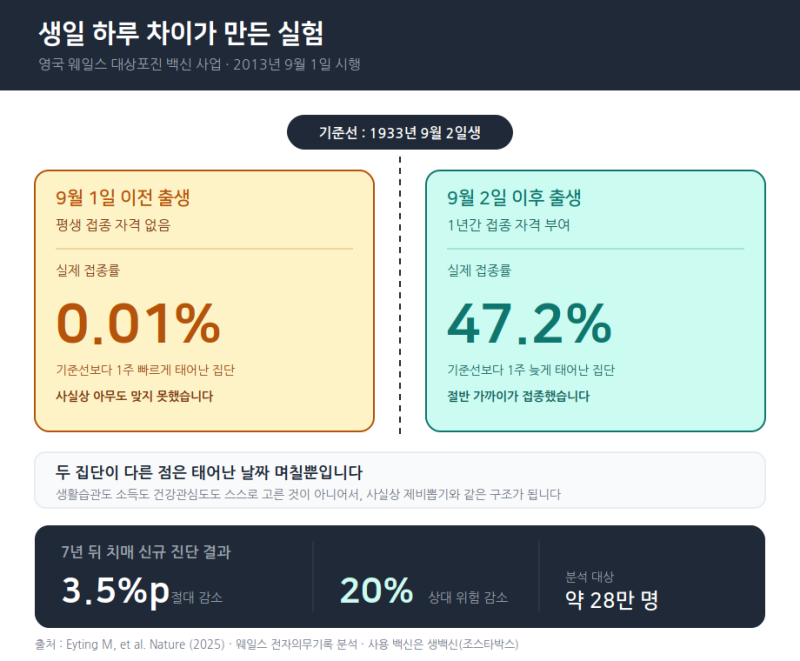 대상포진 백신을 맞았더니 치매 확률이 줄어들다?!