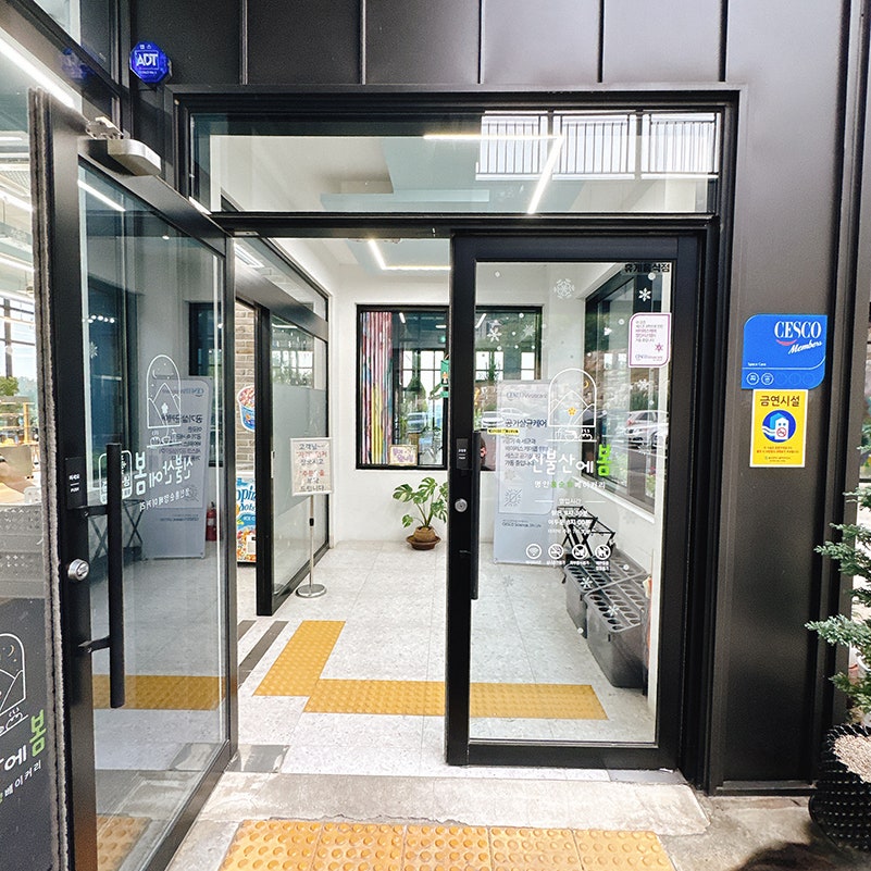 신불산에봄 사진 5