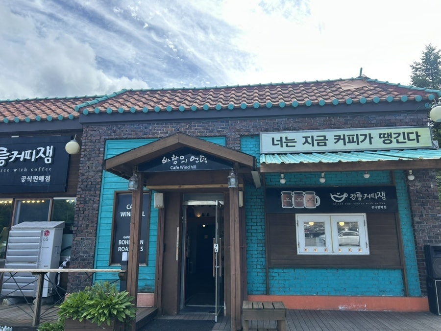 바람의언덕 사진 1