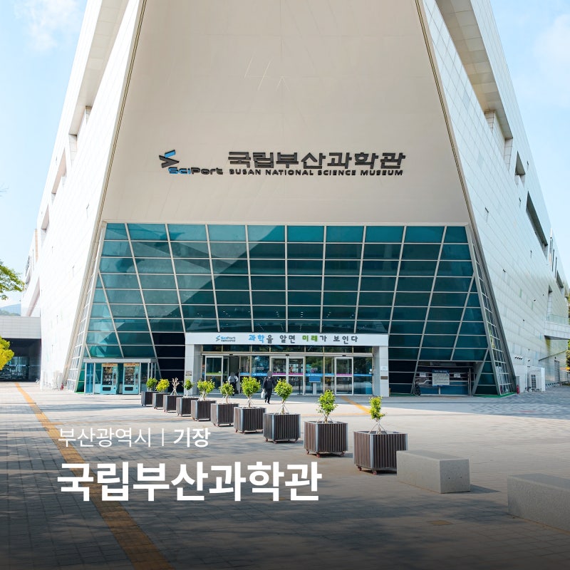 부산 기장 갈만한곳 국립부산과학관 여름 실내 놀거리
