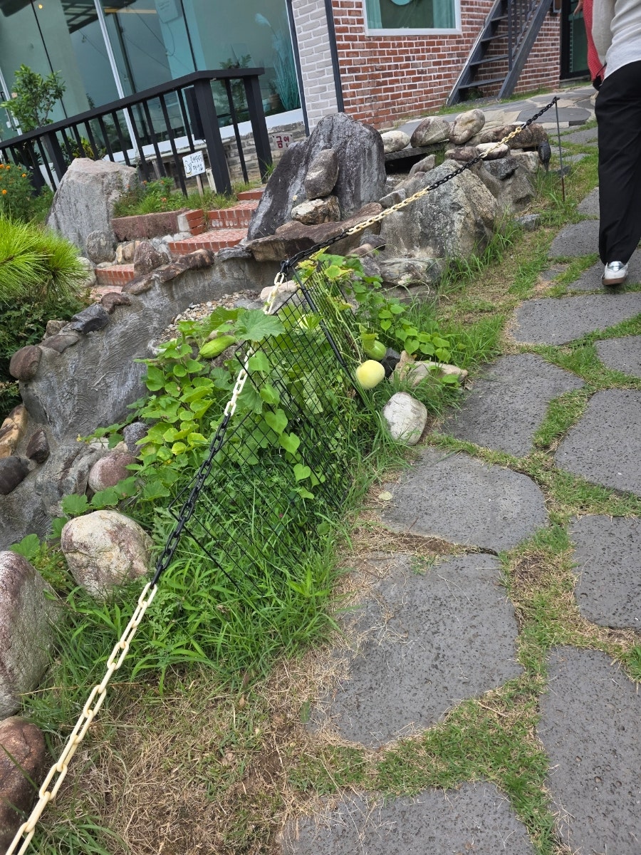 황금독수리 사진 3