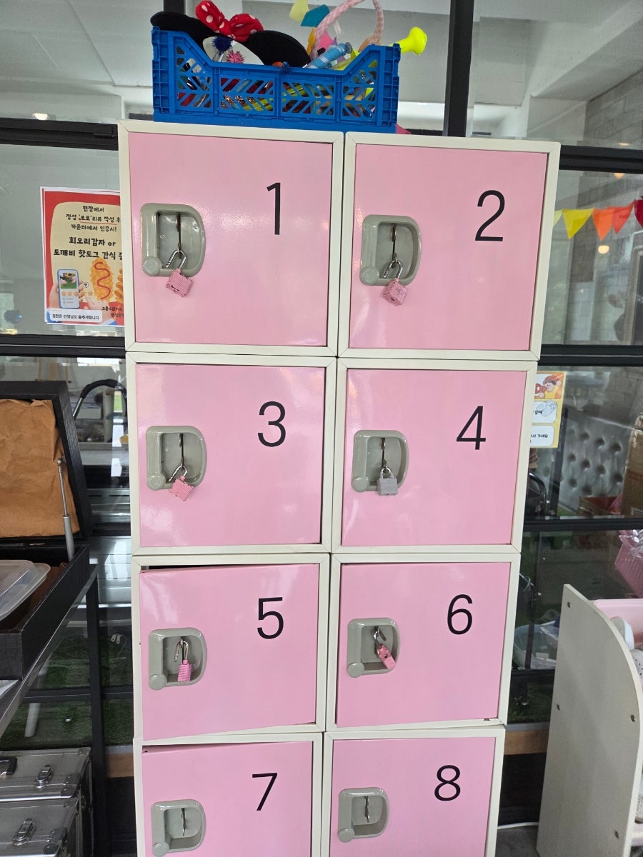 하이파이브 제주 사진 4